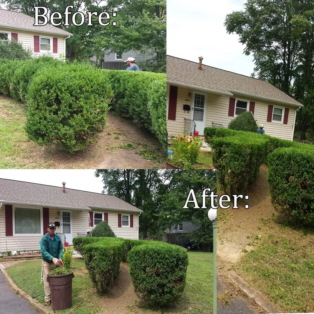 Trusted landscape design for outdoor upgrades across Annandale, VA - Lawnsy