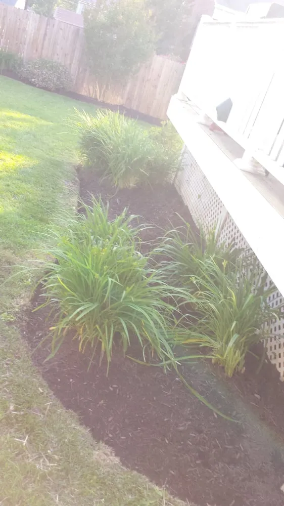 Expert landscape design in Annandale, VA by Lawnsy