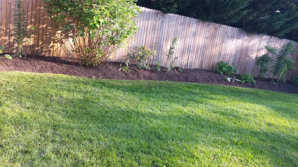 Trusted outdoor landscaping for homes across Annandale, VA - Lawnsy