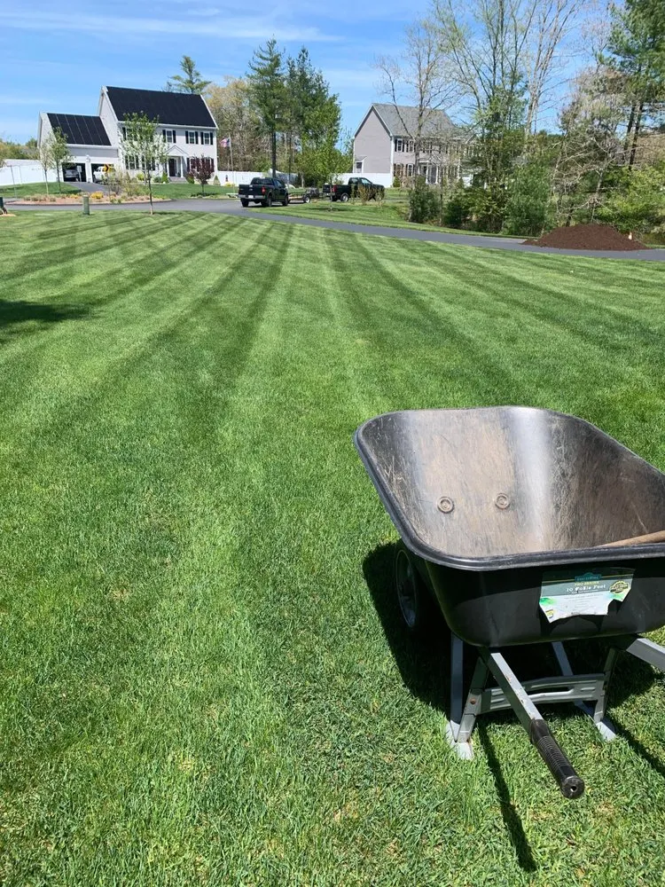 Custom lawn care service in Fairhaven, MA by Lawntain