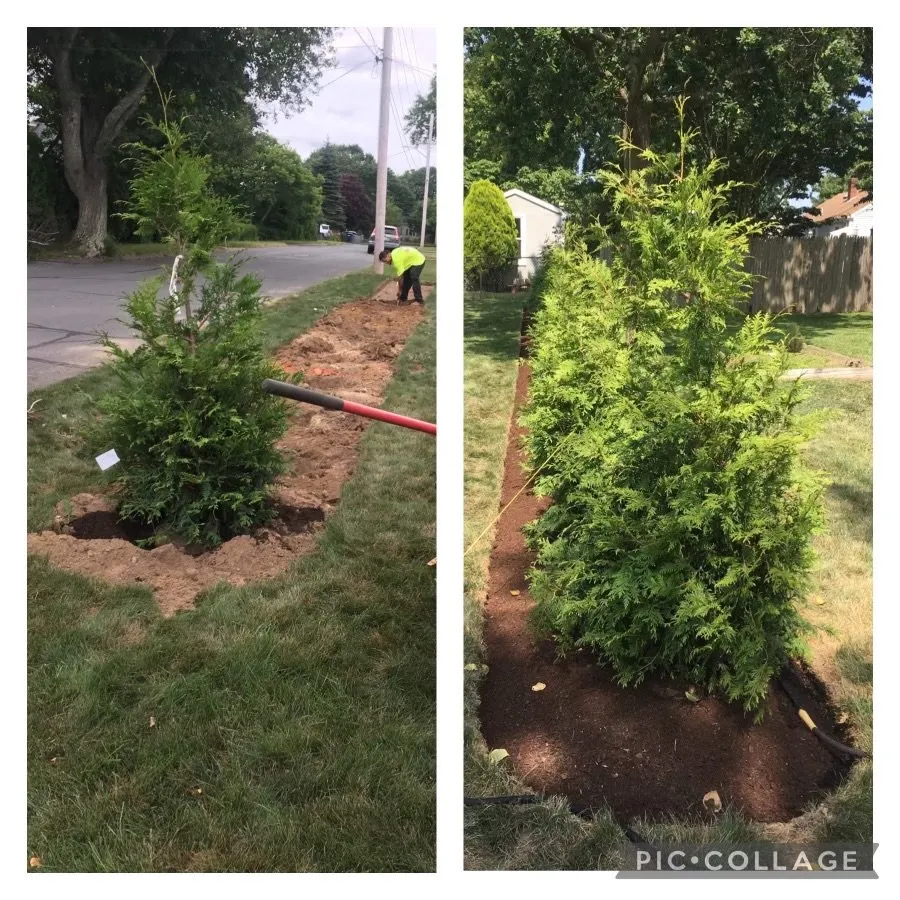 Custom lawn mowing service near you in Fairhaven, MA by Lawntain