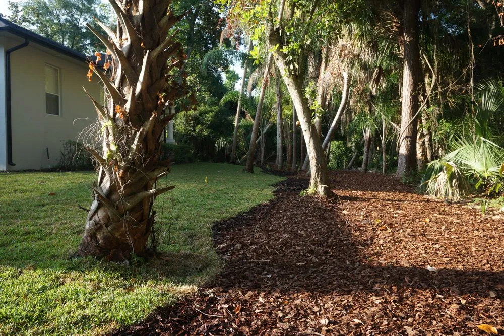 Affordable yard maintenance experts serving Winter Springs, FL - Lawntastic Landscaping