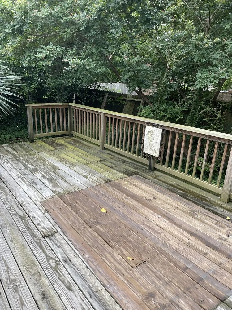 Custom landscape design for year-round maintenance across Savannah, GA - Lawnteacher