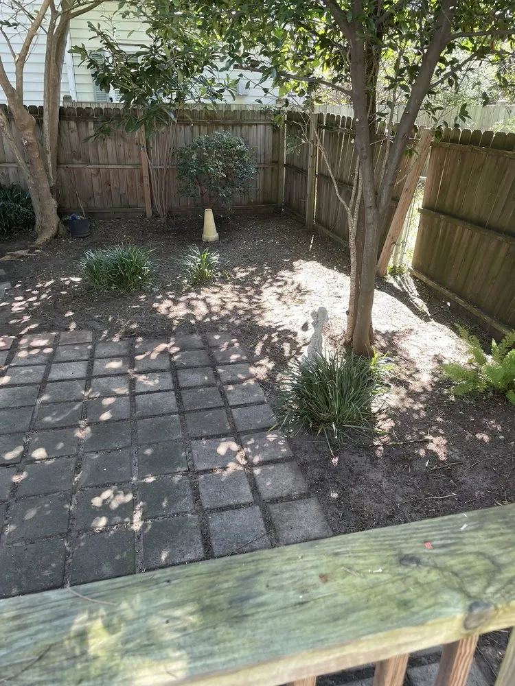 Affordable landscape design in Savannah, GA - Lawnteacher