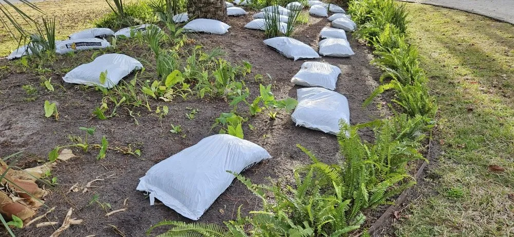 Reliable yard cleanup service experts serving Savannah, GA - Lawnteacher