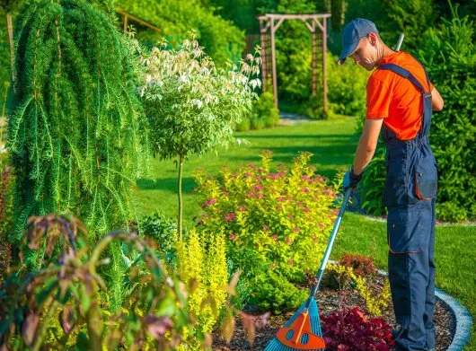 Professional landscaping services near you across Savannah, GA - Lawnteacher