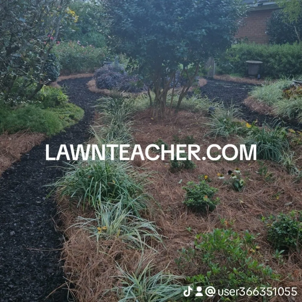 Reliable landscaping services in Savannah, GA by Lawnteacher