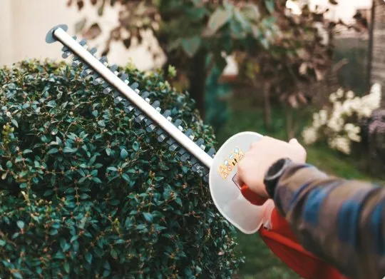 Top-rated landscape installation in Savannah, GA by Lawnteacher