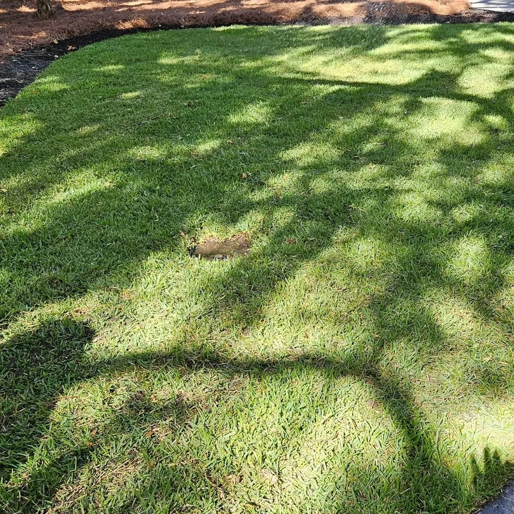 Affordable lawn care service in Savannah, GA - Lawnteacher