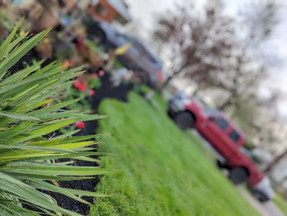 Reliable residential landscaping in Cincinnati, OH by Lawntec