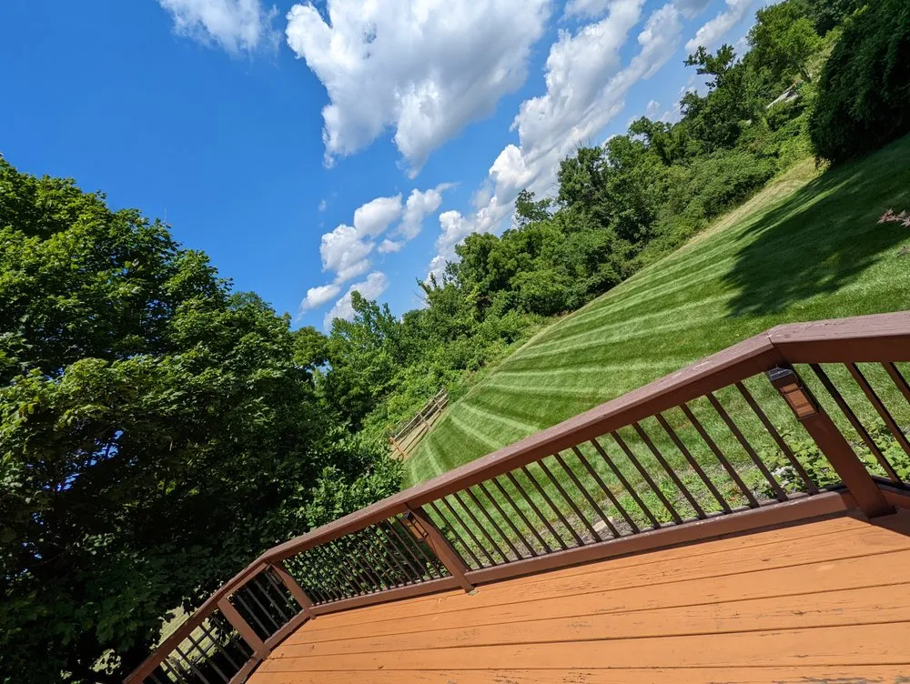 Expert yard maintenance for year-round maintenance in Cincinnati, OH by Lawntec