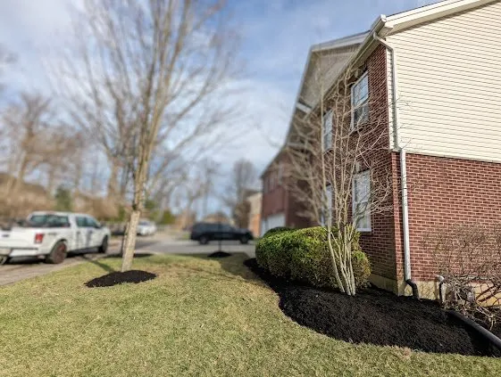 Trusted yard cleanup service for outdoor upgrades in Cincinnati, OH by Lawntec
