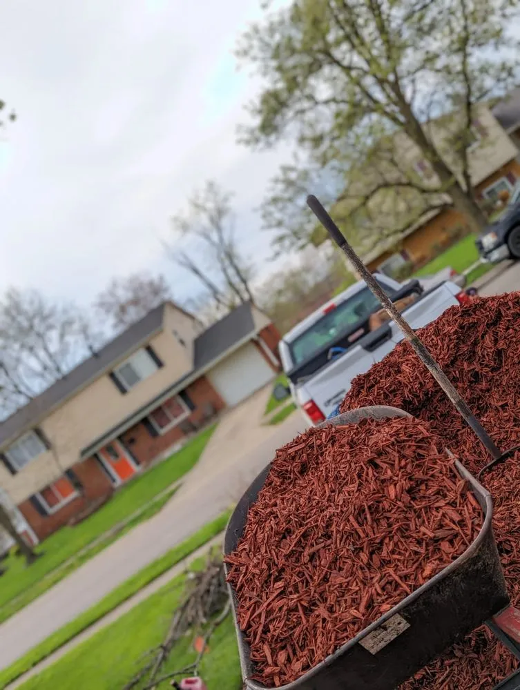 Professional yard cleanup service in Cincinnati, OH - Lawntec