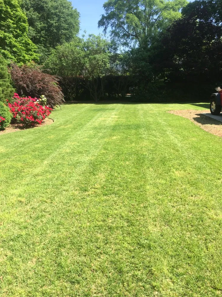 Top-rated lawn care service near you in Cumming, GA by LawnTech Landscaping