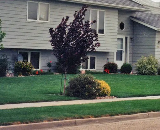 Top-rated landscaping services experts serving Bismarck, ND - Lawntech Outdoor Services