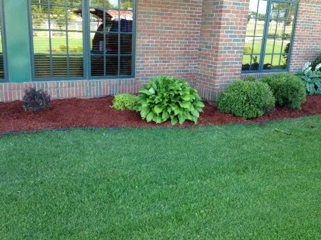 Expert yard maintenance experts serving Bismarck, ND - Lawntech Outdoor Services