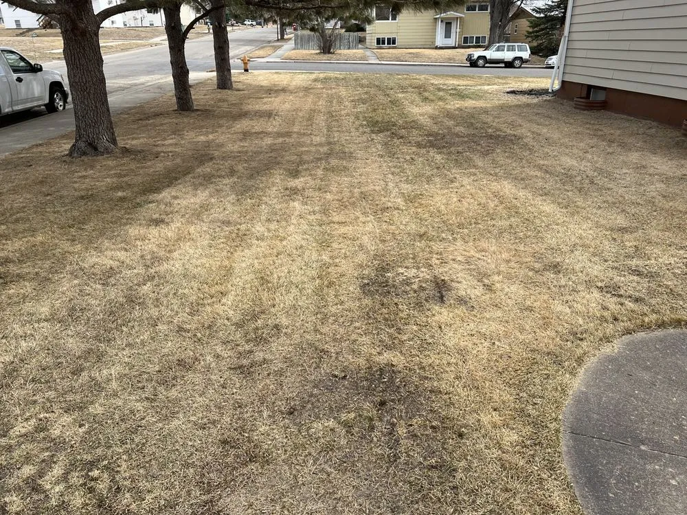 Expert outdoor landscaping in Pierre, SD by LawnTek Landscape Services