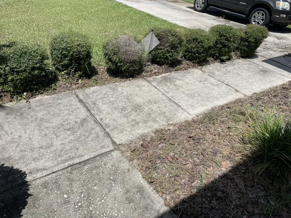 Top-rated outdoor landscaping for homes across Lakeland, FL - Lawnway Landscaping