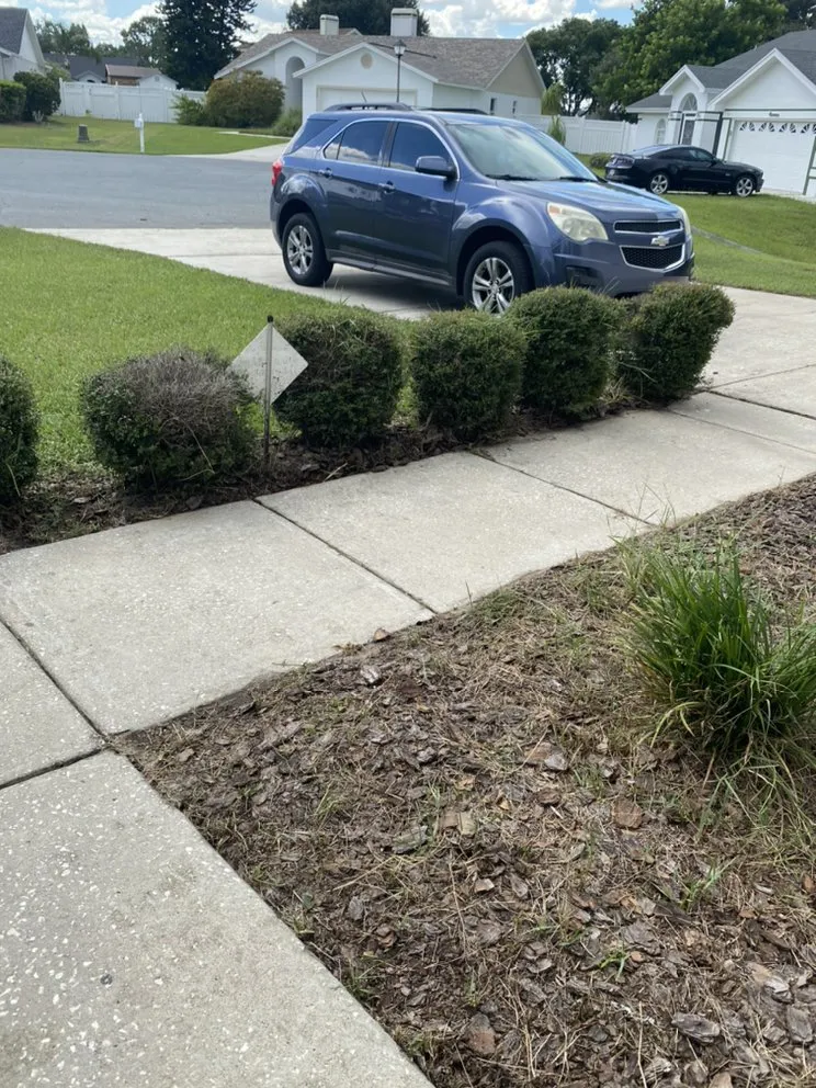 Reliable lawn care service in Lakeland, FL - Lawnway Landscaping