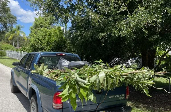 Lawnway Landscaping Logo