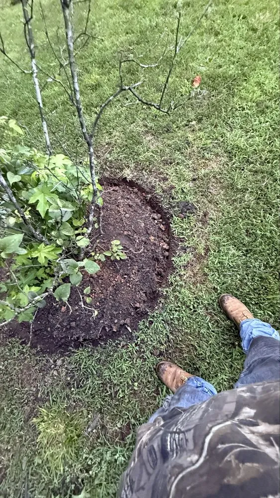 Custom yard maintenance for outdoor upgrades in Danville, VA by LawnWhisperers Landscaping