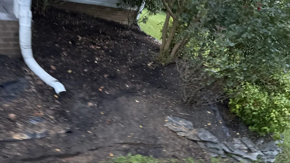 Professional yard cleanup service in Danville, VA - LawnWhisperers Landscaping