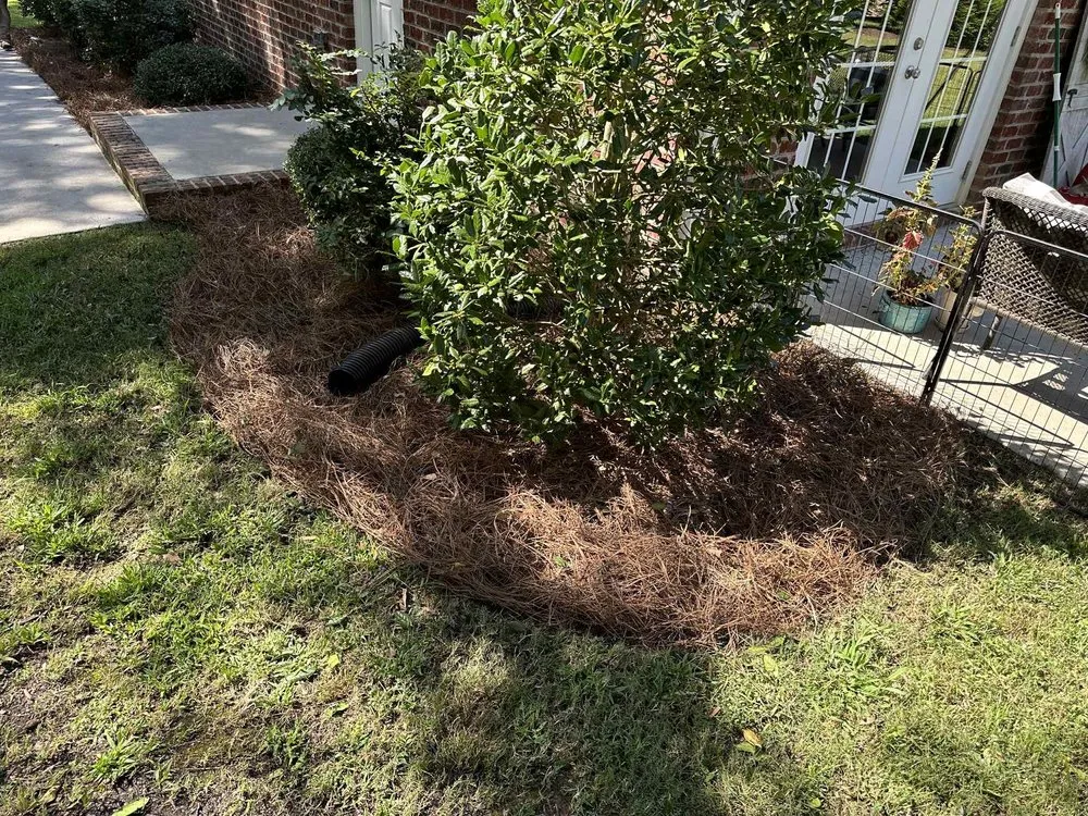 Professional residential landscaping in Danville, VA - LawnWhisperers Landscaping
