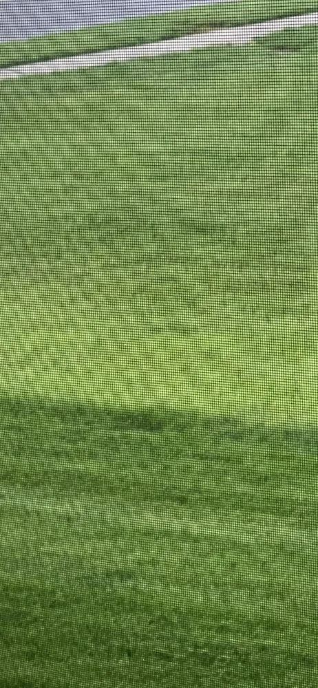 Custom landscape design experts serving Franklin, TN - LawnWise