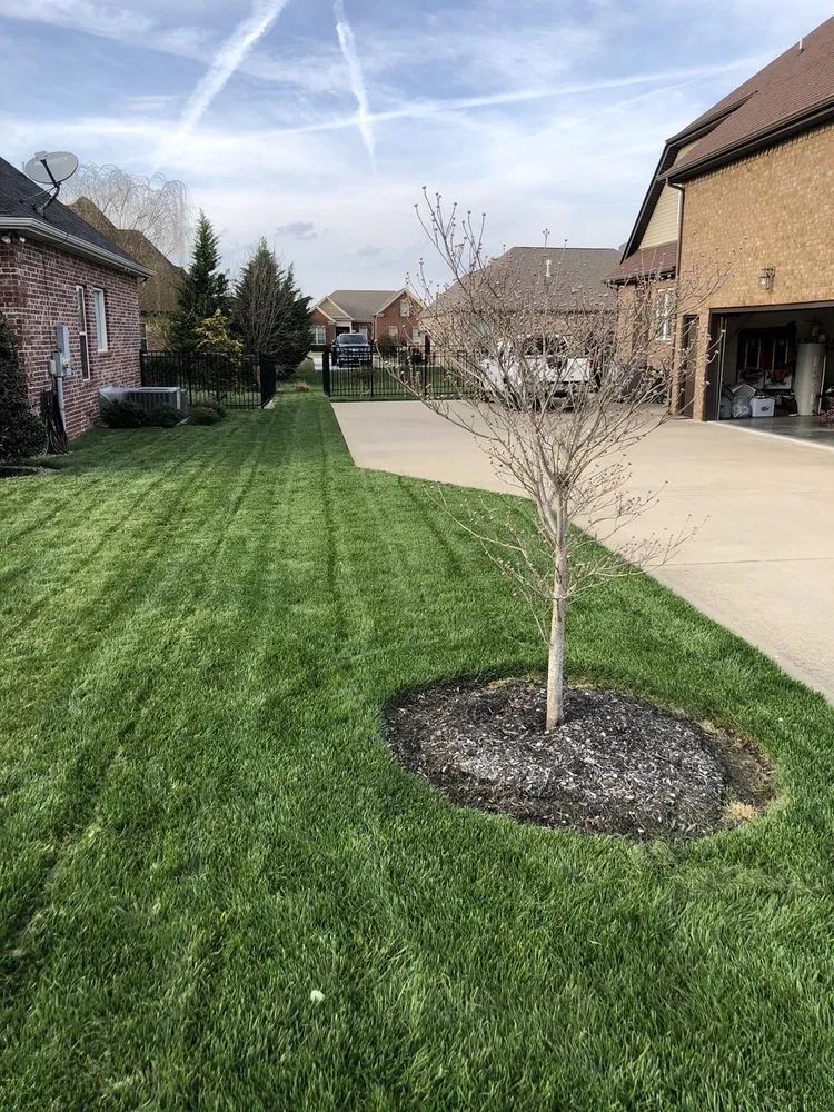 Reliable lawn mowing service in Franklin, TN - LawnWise