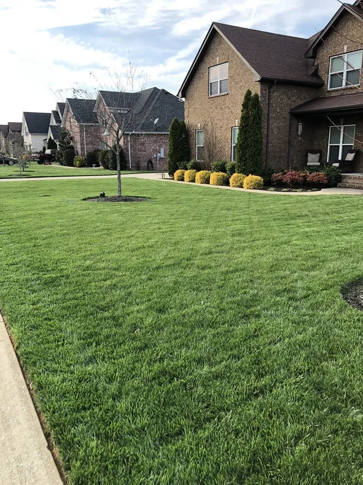 Top-rated landscaping services in Franklin, TN by LawnWise