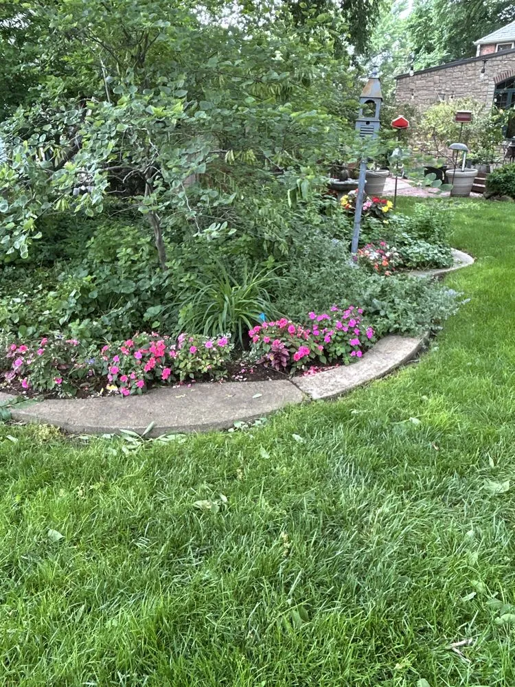 Top-rated yard cleanup service in Sterling, KS - LawnWise