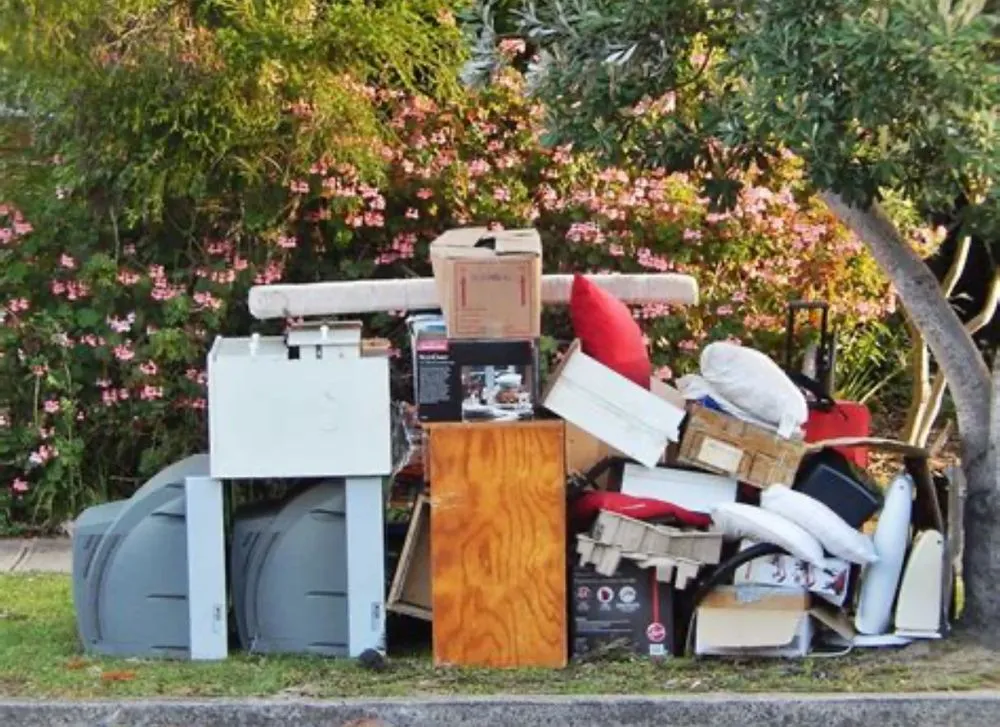 Expert yard maintenance with custom design across Milton, FL - Lawnwood Enterprises