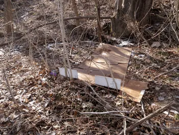 Trusted outdoor landscaping for outdoor upgrades across Blaine, MN - Lawnworks