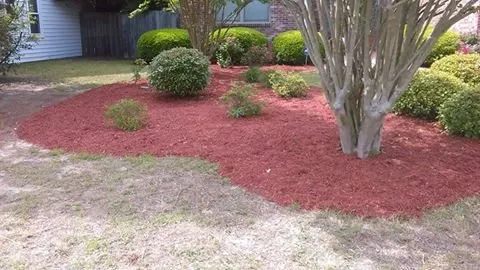 Professional yard maintenance in Lugoff, SC - Lawnworks Lawn & Landscaping