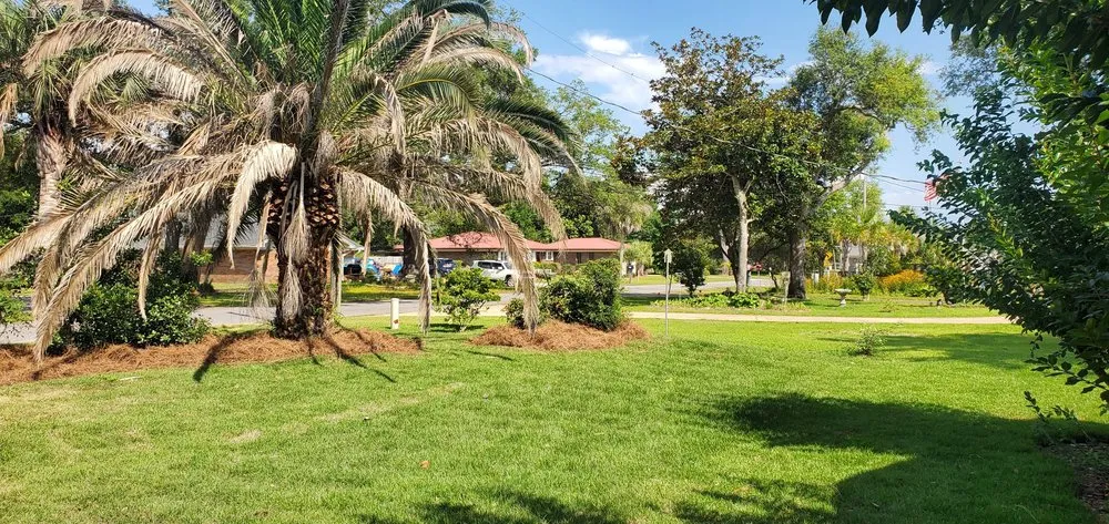 Custom garden landscaping for year-round maintenance across Lynn Haven, FL - Lawnworks