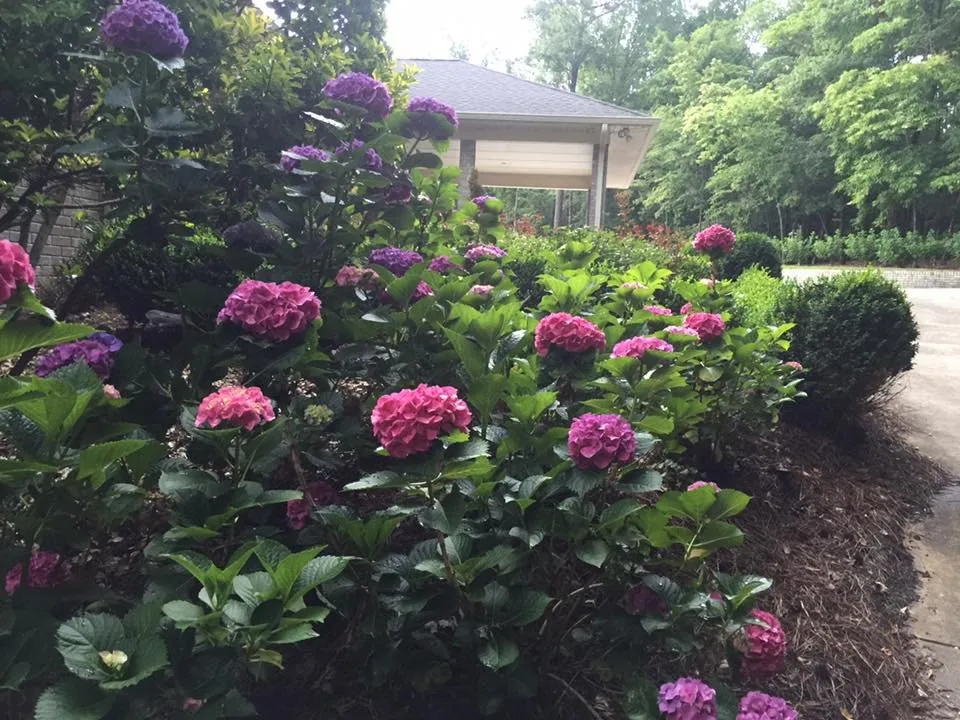 Custom garden landscaping experts serving Macon, GA - LawnWorks