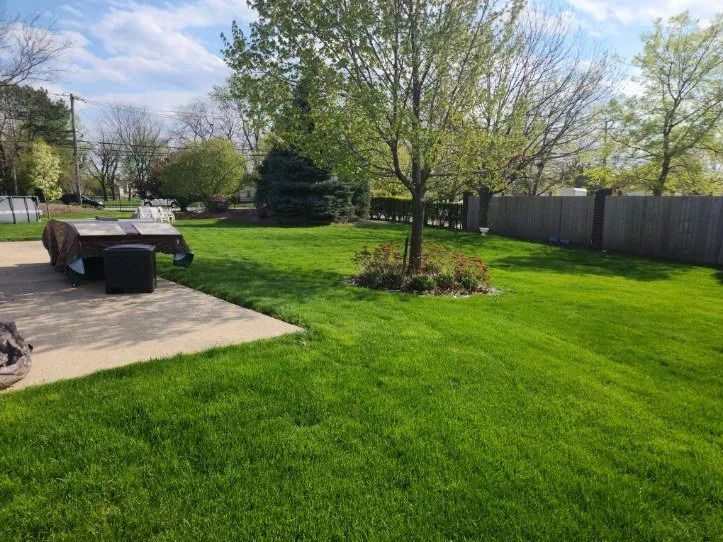 Custom landscape design in Joliet, IL - Lawnworks of Joliet