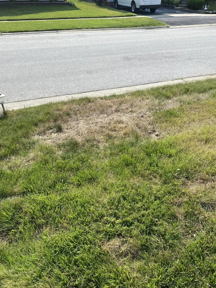 Top-rated yard maintenance experts serving Joliet, IL - Lawnworks of Joliet