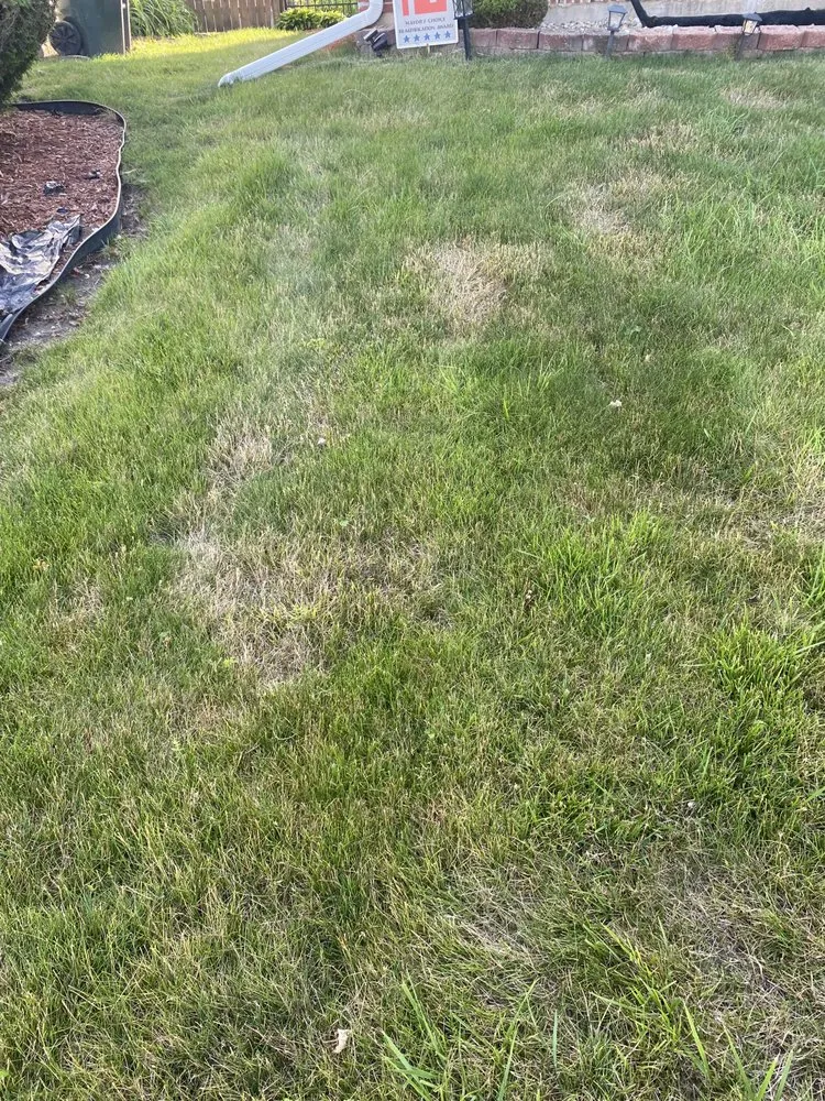 Reliable yard cleanup service experts serving Joliet, IL - Lawnworks of Joliet