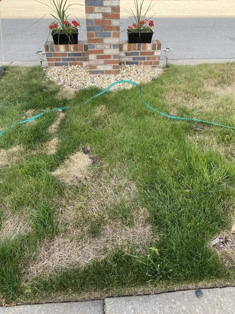 Affordable yard cleanup service in Joliet, IL by Lawnworks of Joliet