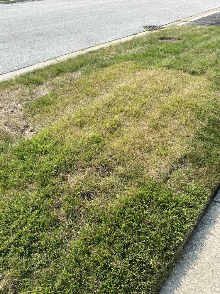 Professional lawn mowing service in Joliet, IL - Lawnworks of Joliet