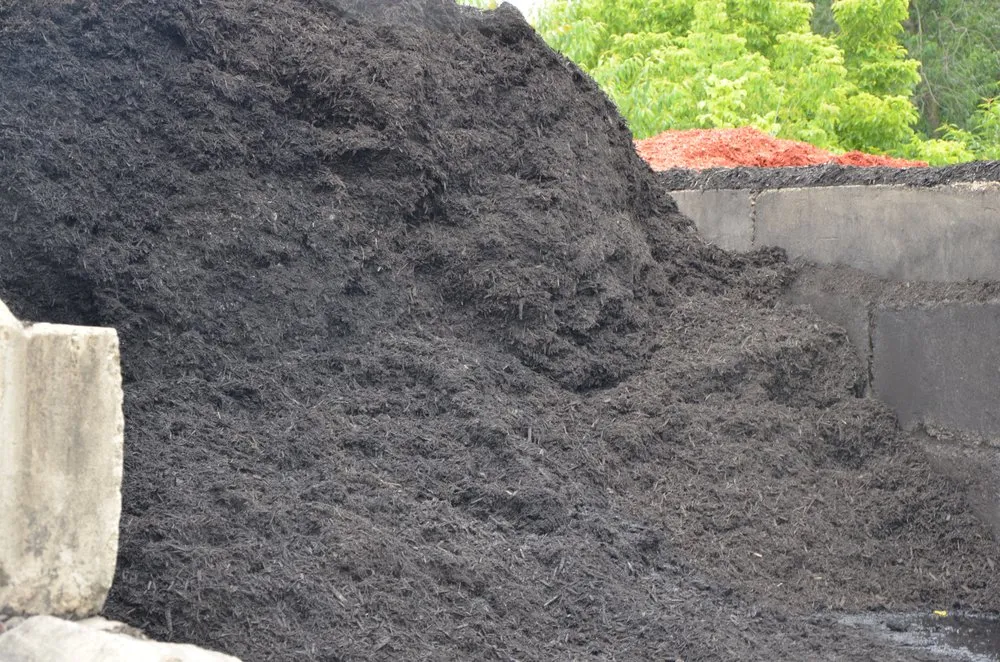 Trusted landscaping services for year-round maintenance across Rochester, PA - Lawnworks