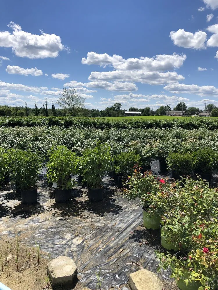 Local landscaping services for year-round maintenance in Rochester, PA by Lawnworks