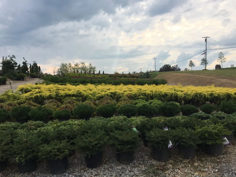 Affordable lawn mowing service with custom design across Rochester, PA - Lawnworks