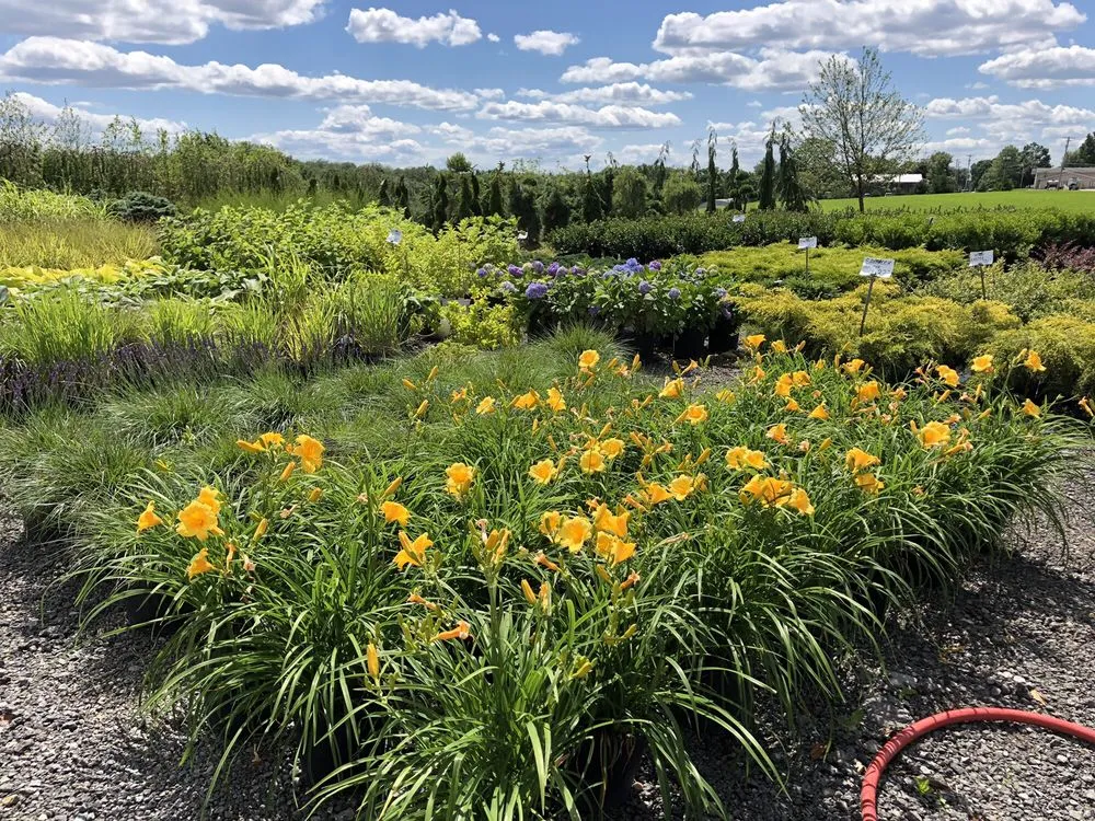 Trusted lawn mowing service for homes in Rochester, PA by Lawnworks