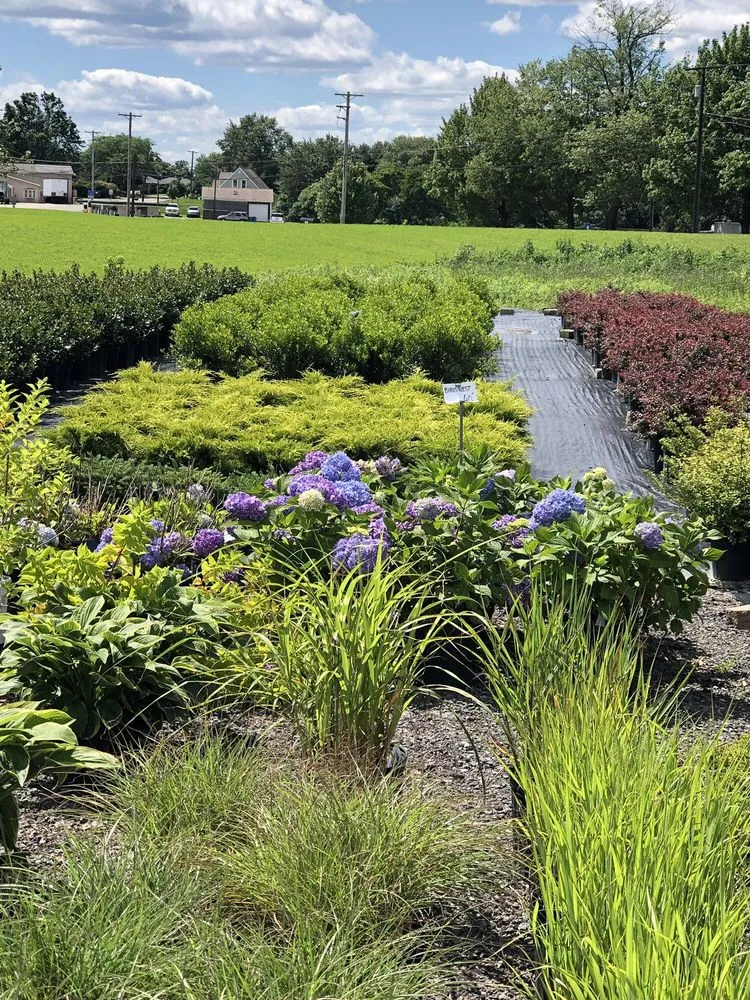 Custom landscape design for residential properties in Rochester, PA by Lawnworks