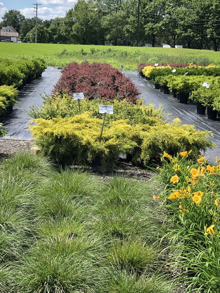 Reliable landscape installation for homes in Rochester, PA by Lawnworks