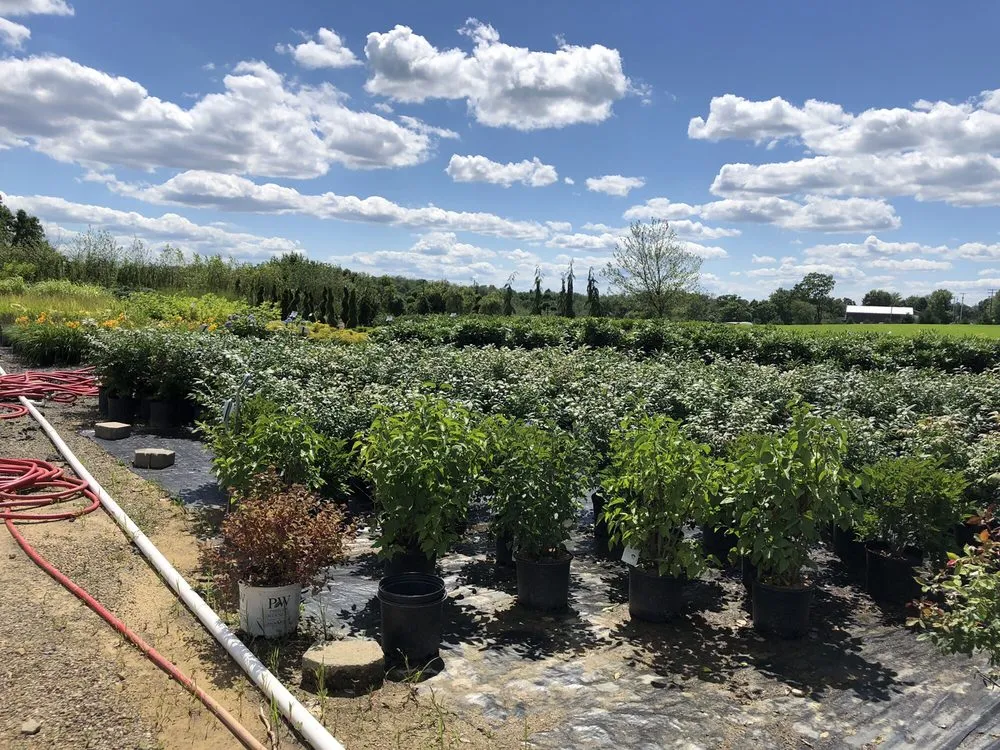 Professional landscape design for outdoor upgrades across Rochester, PA - Lawnworks