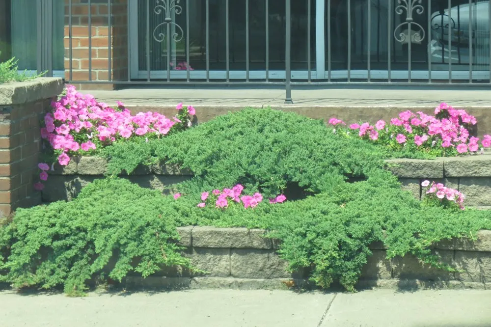 Reliable yard maintenance for homes in Rochester, PA by Lawnworks