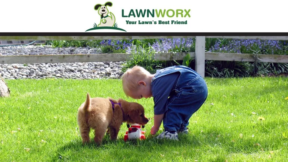 Expert landscape design in Orlando, FL - Lawnworx